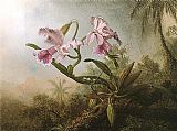 Orchids and Hummingbird 1875 by Martin Johnson Heade